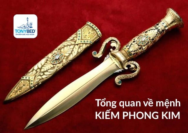 Tong quan ve menh Kiem phong kim