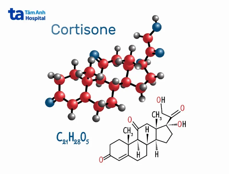 Công thức hóa học của corticoid