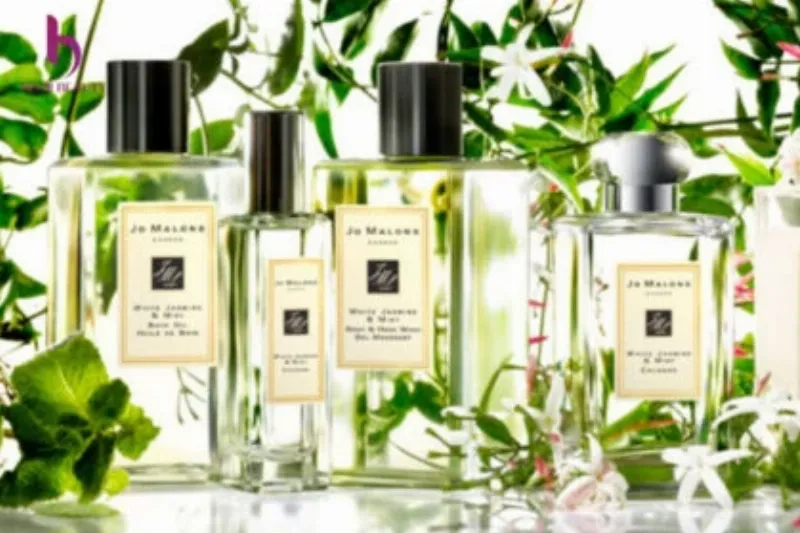 điểm nhấn của nước hoa jo malone là thành phần hoa nhài vô cùng tự nhiên