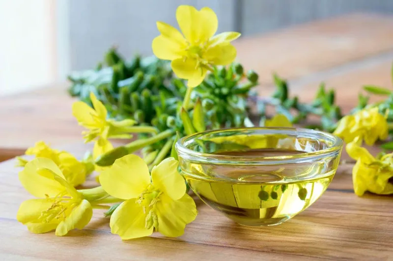 Giải đáp: Evening Primrose Oil là gì? Công dụng của tinh chất này như thế nào 3